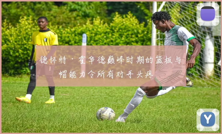 德怀特·霍华德巅峰时期的篮板与盖帽能力令所有对手头疼