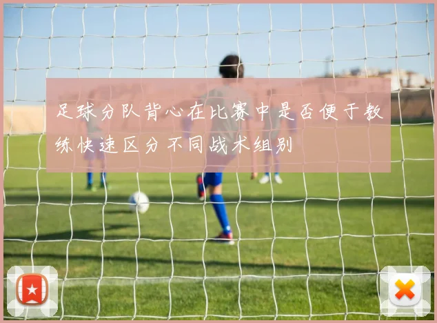 足球分队背心在比赛中是否便于教练快速区分不同战术组别