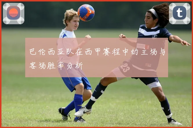 巴伦西亚队在西甲赛程中的主场与客场胜率分析