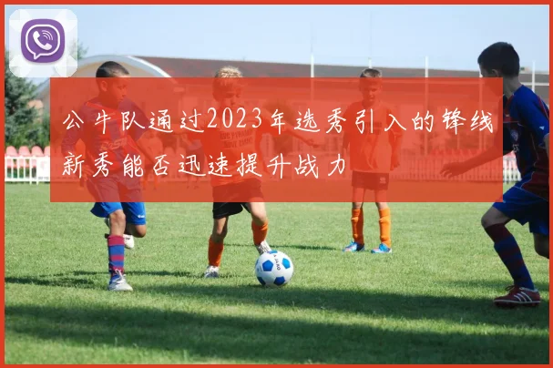 公牛队通过2023年选秀引入的锋线新秀能否迅速提升战力