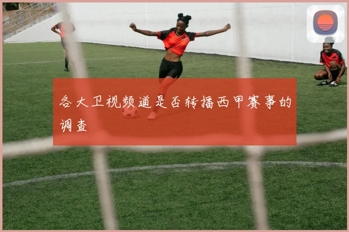 各大卫视频道是否转播西甲赛事的调查